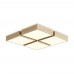 Потолочный светильник Cubba FR5450CL-L120BG Freya Потолочный светильник Cubba FR5450CL-L120BG Freya