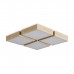 Потолочный светильник Cubba FR5450CL-L120BG Freya Потолочный светильник Cubba FR5450CL-L120BG Freya