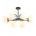 Потолочная люстра Elrona 8375/12C