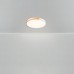 Потолочный светильник Sprida FR6129CL-L80W Freya