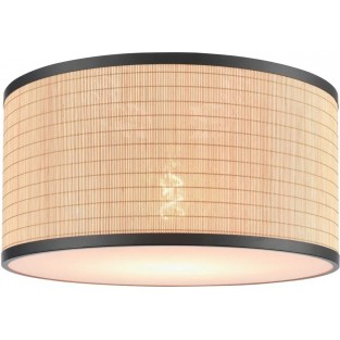 Потолочный светильник 568-717-01