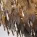 Подвесная люстра ML.6928.800 BS Подвесная люстра ML.6928.800 BS