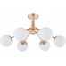 Потолочная люстра Napoli-8654 338654/6 FGD