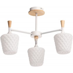 Потолочная люстра Дэла 635015003