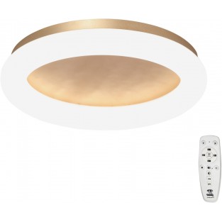 Потолочный светильник V2537DT-8/1PL