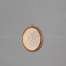 Подвесной светильник Ringone 11147 Cloyd Подвесной светильник Ringone 11147 Cloyd