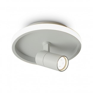 Потолочный светильник Neo FR6040CL-L14W