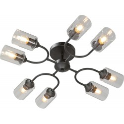 Потолочная люстра V2822-1/8PL