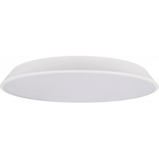 Потолочный светильник Brim 10226 White