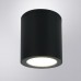Потолочный светильник уличный Torcular A1313PF-1BK Arte Lamp