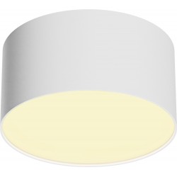 Потолочный светильник Zon C032CL-12W2.7K-RD-W