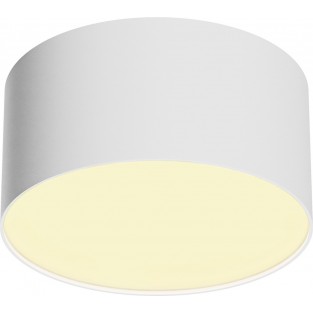 Потолочный светильник Zon C032CL-12W2.7K-RD-W