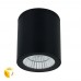 Потолочный светильник уличный Torcular A1313PF-1BK Arte Lamp