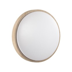 Настенно-потолочный светильник Losta 7607/CLN