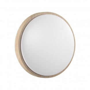 Настенно-потолочный светильник Losta 7607/CLN