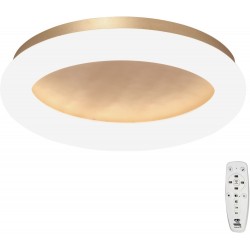 Потолочный светильник V2538DT-8/1PL