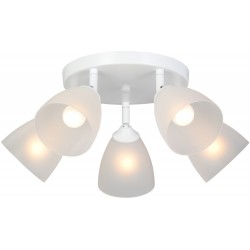 Потолочная люстра V4355-0/5PL