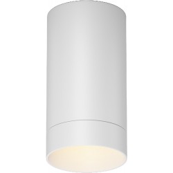 Потолочный светильник уличный Luxe O500CL-L5W3K