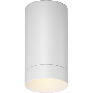 Потолочный светильник уличный Luxe O500CL-L5W3K