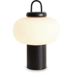 Интерьерная настольная лампа Take FR6175TL-L10B Интерьерная настольная лампа Take FR6175TL-L10B