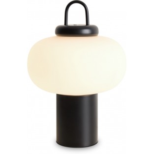 Интерьерная настольная лампа Take FR6175TL-L10B