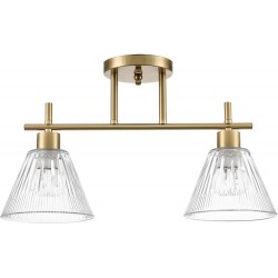 Потолочная люстра Vivian 8188/2C