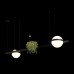 Подвесной светильник Jardin 10121/D