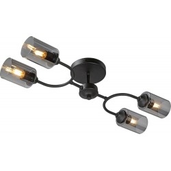 Потолочная люстра V2823-1/4PL