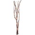 Ночник Willow Dewdrop 410798 Ночник Willow Dewdrop 410798