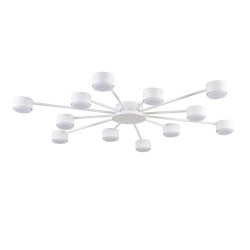 Потолочная люстра Torina 8343/12C