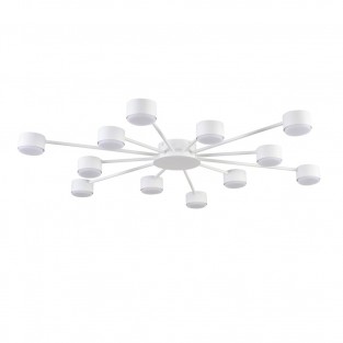 Потолочная люстра Torina 8343/12C