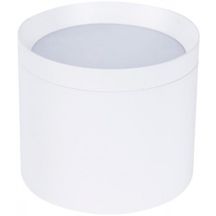 Точечный светильник Rote 4708-1C