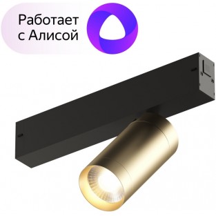 Трековый светильник Smart Spot DK8010-BG