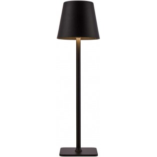 Интерьерная настольная лампа Pyari 4615-1T