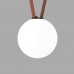 Трековый светильник BELTY ORB | БЕЛТИ ОРБ DK5554-BK Denkirs Трековый светильник BELTY ORB | БЕЛТИ ОРБ DK5554-BK Denkirs