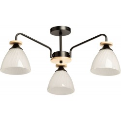 Потолочная люстра Дэла 635018003