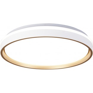 Потолочный светильник Verona 9026