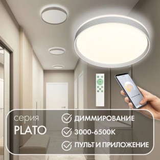 Потолочный светильник PLATO | ПЛАТО DK6511-WH