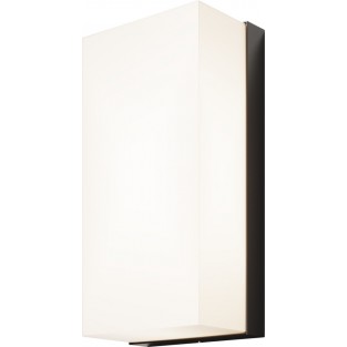 Настенный светильник уличный Badd O454WL-L10GF3K