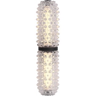 Настенный светильник Saguaro SL6144.401.01