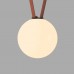 Трековый светильник BELTY ORB | БЕЛТИ ОРБ DK5555-BK Denkirs