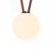 Трековый светильник BELTY ORB | БЕЛТИ ОРБ DK5555-BK Denkirs