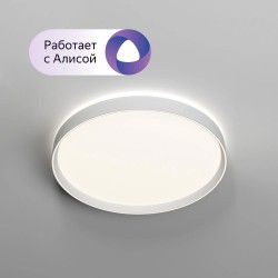 Потолочный светильник PLATO | ПЛАТО DK6511-WH Denkirs