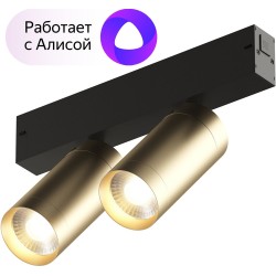 Трековый светильник Smart Spot DK8012-BG