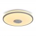 Потолочный светильник Rond FR6226CL-L36W Freya
