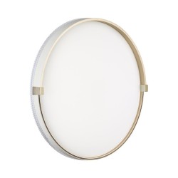 Настенно-потолочный светильник Olidi White 7646/DLN