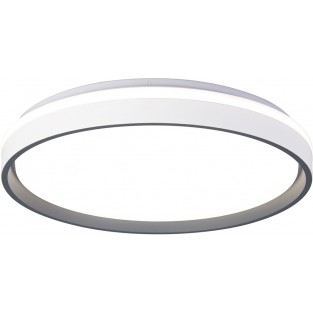 Потолочный светильник Verona 9027