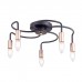 Потолочная люстра Matis FR4010CL-05GB Freya Потолочная люстра Matis FR4010CL-05GB Freya