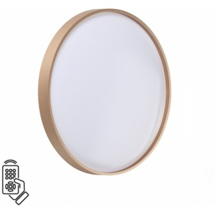 Настенно-потолочный светильник Gaby 7783/DL