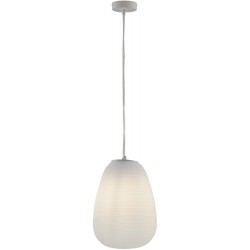 Подвесной светильник Arden V11345-1P